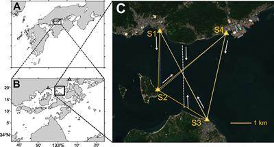 Reconstruction of horizontal tidal current fields in a shallow water with model-oriented coastal acoustic tomography